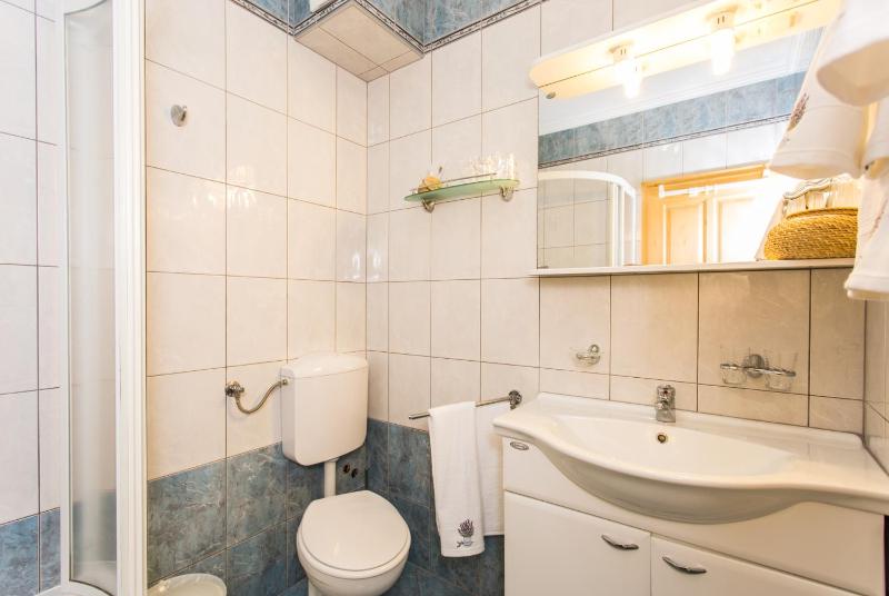 Vila Milcetic - image 48