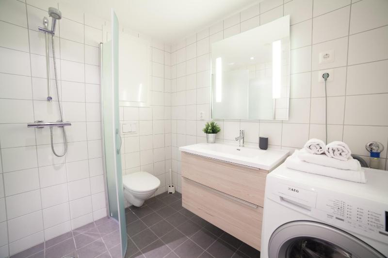 One-Bedroom Apartment image 2