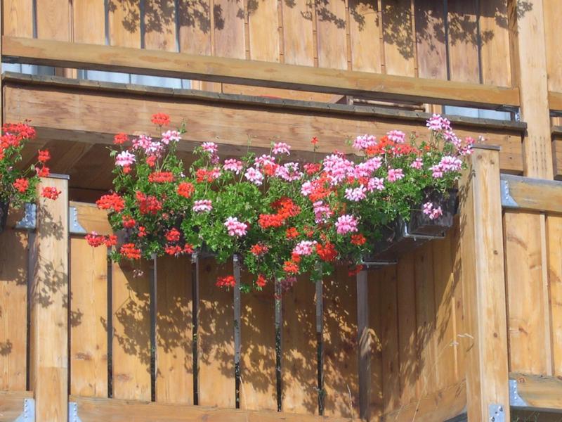 Chalet Z`Wichjehüs - image 4