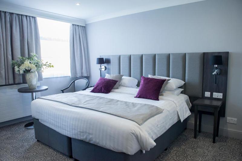 Double or Twin Room image 4
