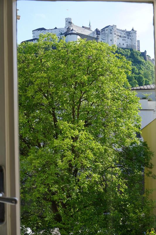 Deluxe Room with River View image 2