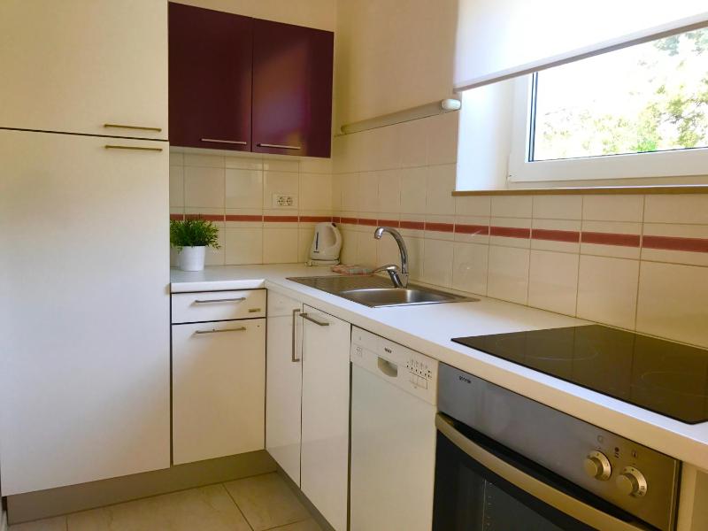 Superior One-Bedroom Apartment with Balcony image 4