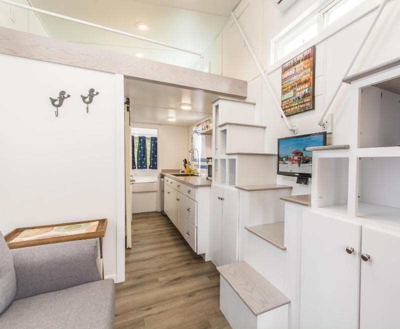 Tiny House - Coral image 3