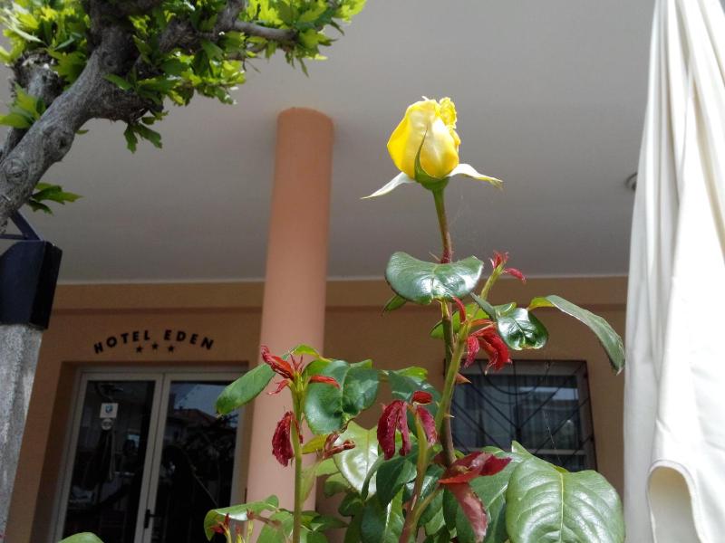 Hotel Eden - image 33