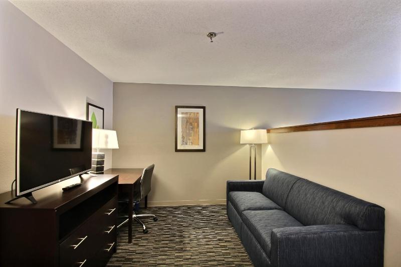 Deluxe King Studio Suite - Non-Smoking image 3