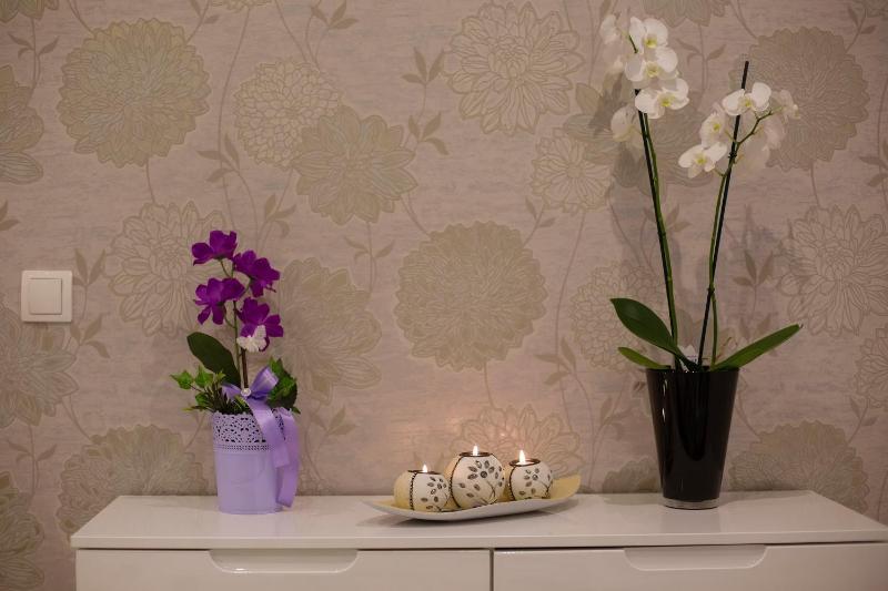 One-Bedroom Apartment image 2