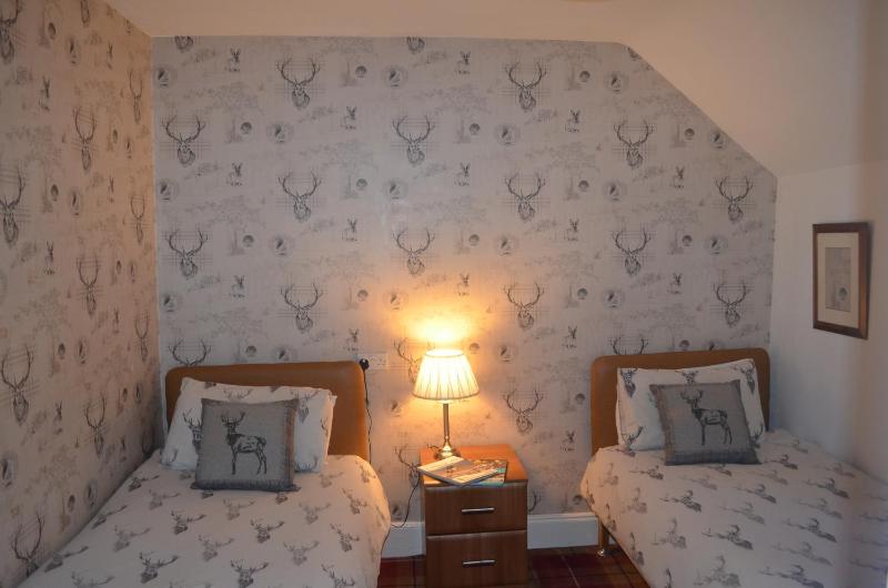 Twin Room with Bathroom image 4