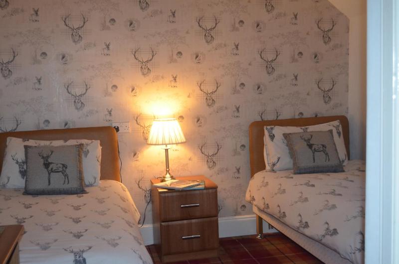 Twin Room with Bathroom image 3