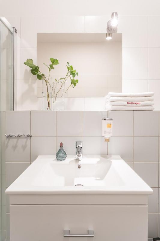 Two-Bedroom Apartment with mezzanine image 4