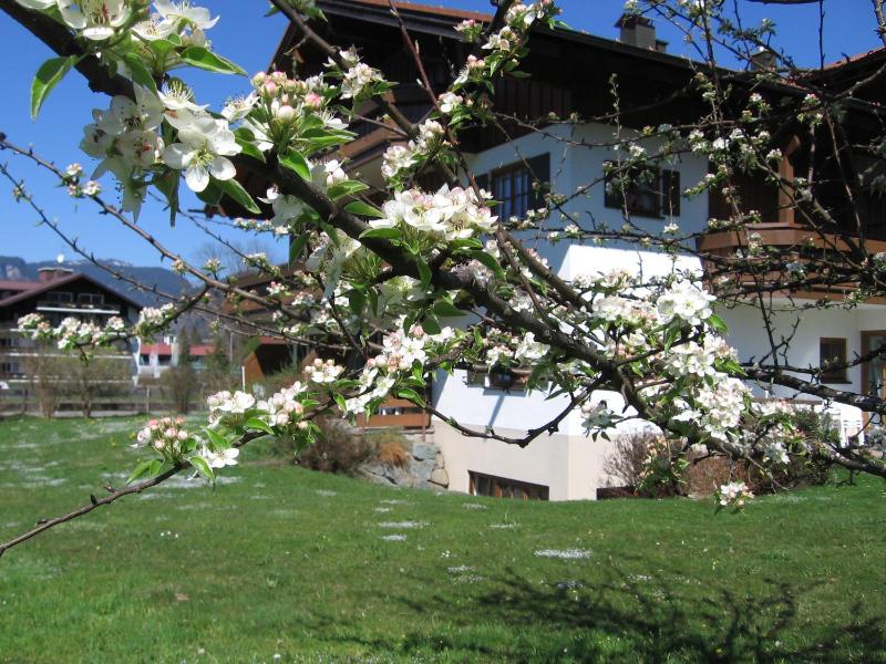 Haus Am Mühlenweg - image 2