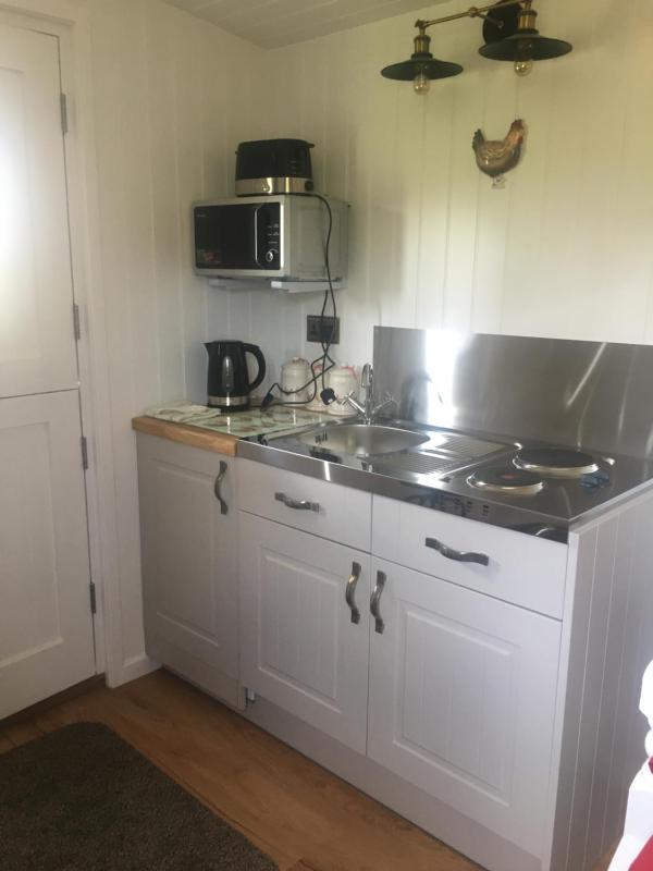 Snowdon Shepherd Hut image 4