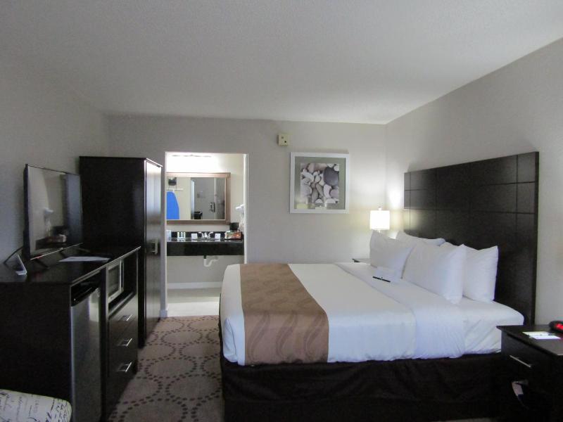 Lake View King Room - Non-Smoking image 4