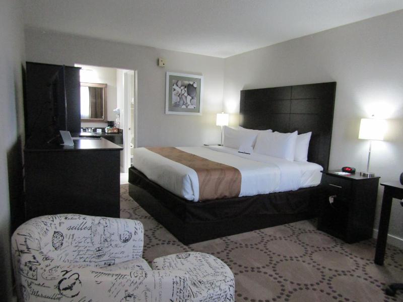 Lake View King Room - Non-Smoking image 2