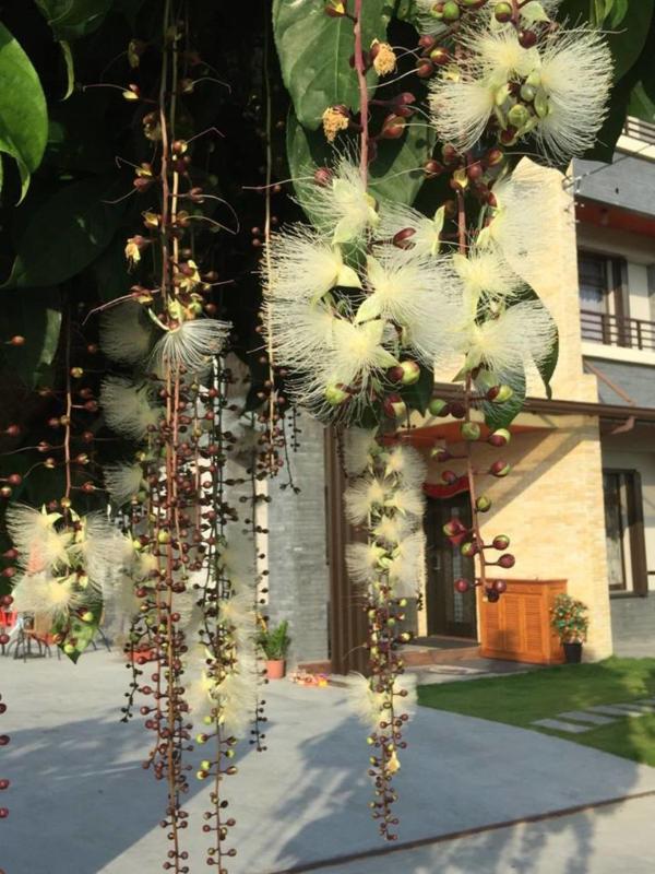 Sweet Suger B&B - image 28