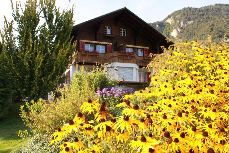 Adventure Guesthouse Interlaken - image 14