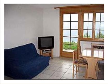 One-Bedroom Apartment image 2
