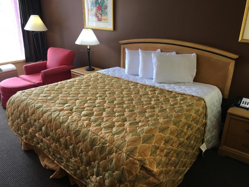 King Room image 2