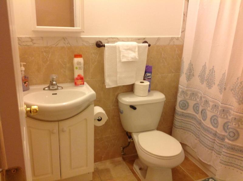 King Room with Shared Bathroom image 4
