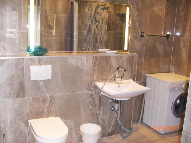Two-Bedroom Apartment image 3