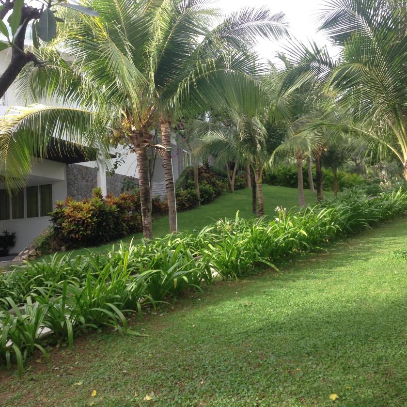 Căn Hộ Nhìn Ra Biển Căn Hộ Nhìn Ra Biển