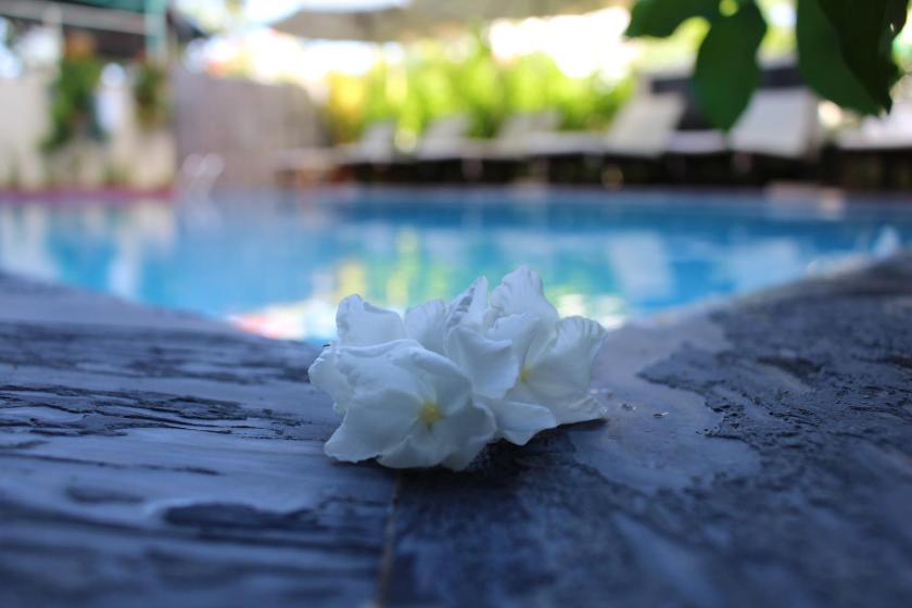 Suite Gia đình Thông nhau qua Cửa nối Nhìn ra Khu vườn hoặc Hồ bơi Suite Gia đình Thông nhau qua Cửa nối Nhìn ra Khu vườn hoặc Hồ bơi