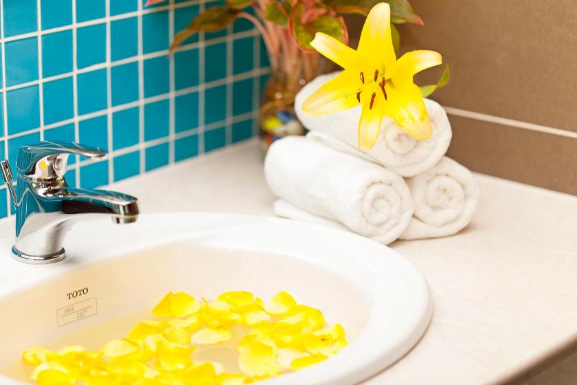 Phòng Superior 2 Giường đơn Nhìn ra Sông