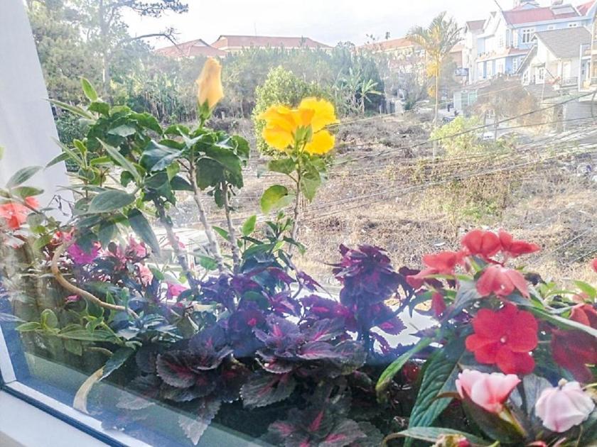 Phòng Giường Đôi Có Phòng Tắm Riêng Phòng Giường Đôi Có Phòng Tắm Riêng