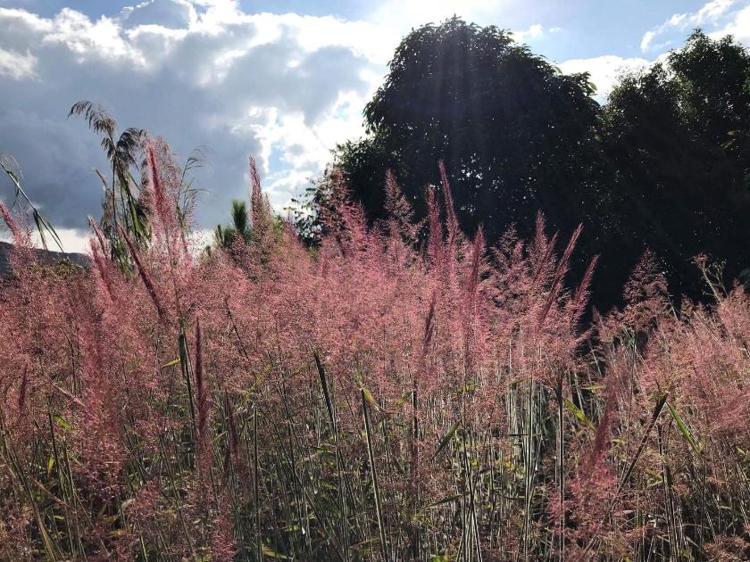 Phòng Gia Đình Có Ban Công Phòng Gia Đình Có Ban Công