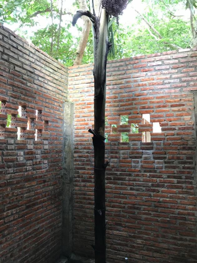 Bungalow 1 Phòng Ngủ