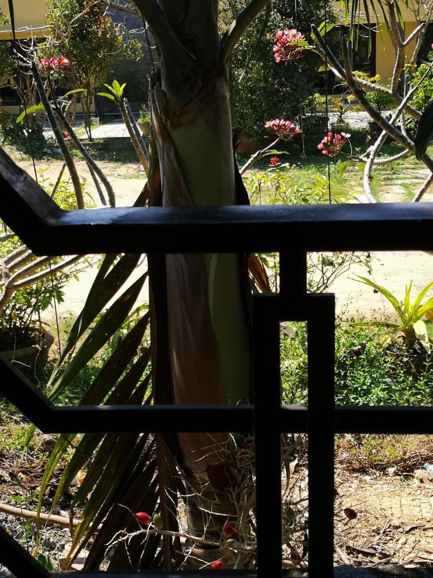 Phòng Deluxe Giường Đôi Có Ban Công Phòng Deluxe Giường Đôi Có Ban Công