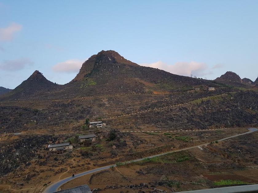 Phòng Ngủ Tập Thể 10 Giường Cho Cả Nam Và Nữ