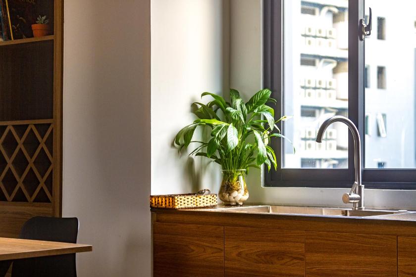 Căn Hộ 1 Phòng Ngủ Căn Hộ 1 Phòng Ngủ