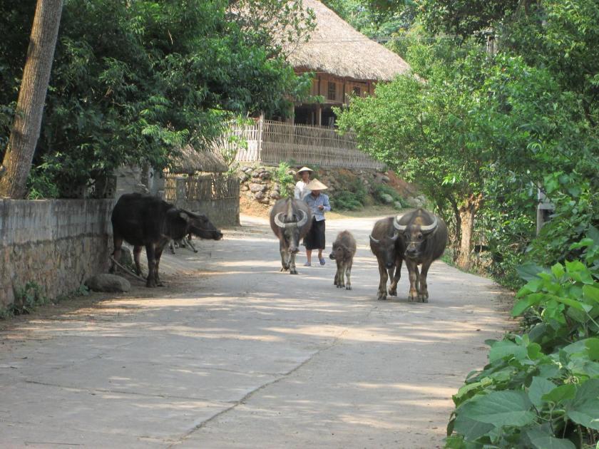 Phòng Giường Đôi Hạng Tiết Kiệm Phòng Giường Đôi Hạng Tiết Kiệm