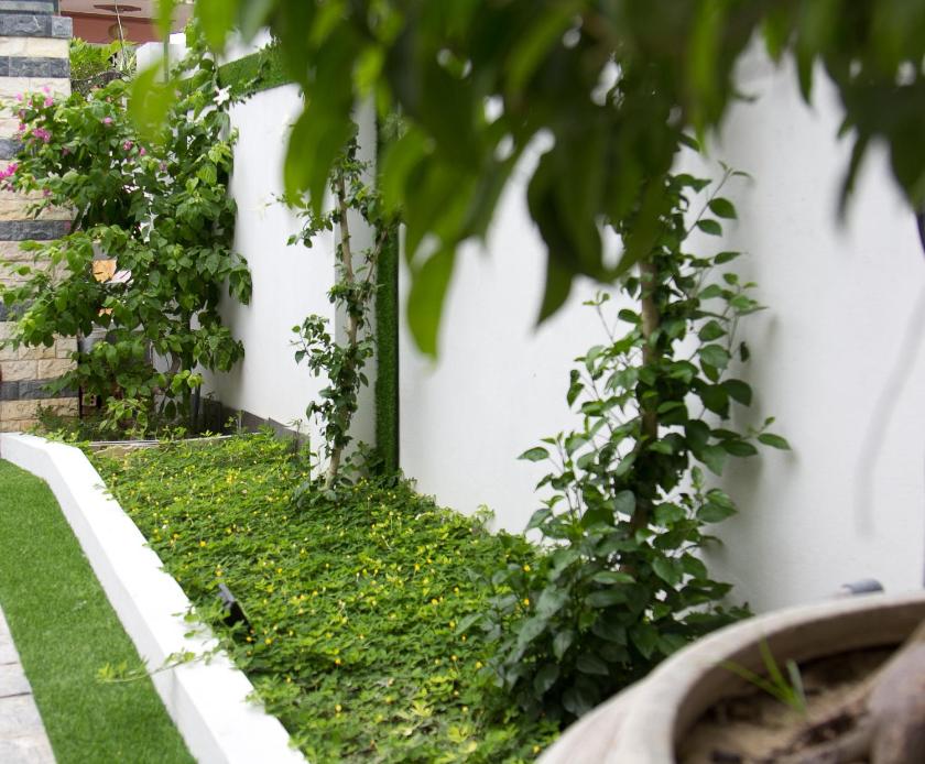 Phòng Có Giường Cỡ King Nhìn Ra Vườn Phòng Có Giường Cỡ King Nhìn Ra Vườn