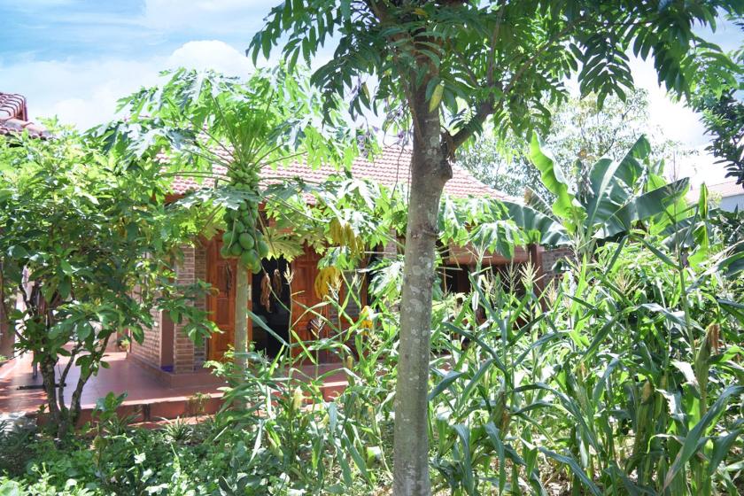 Bungalow Nhìn ra vườn