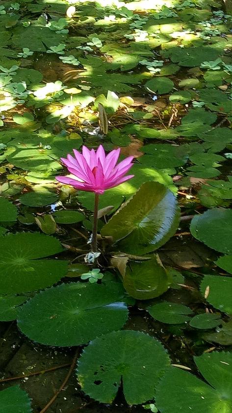 Bungalow Gia Đình Bungalow Gia Đình