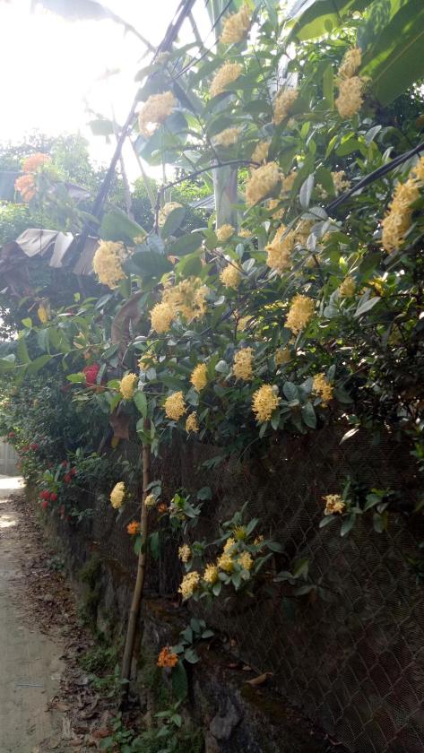 Bungalow Gia Đình Bungalow Gia Đình