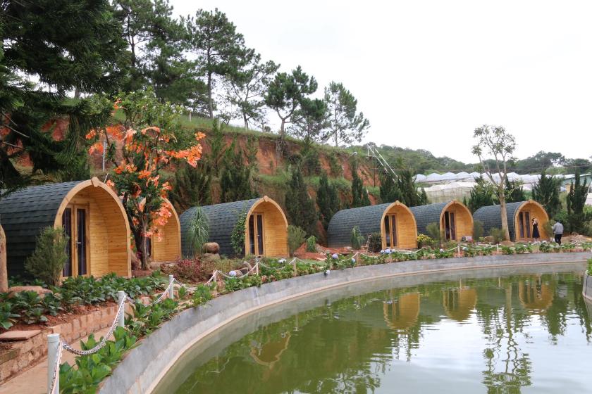 Phòng Đơn Nhìn Ra Hồ Phòng Đơn Nhìn Ra Hồ