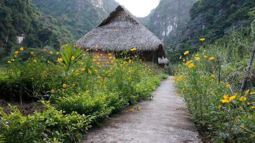 Bungalow - Nhìn Ra Mặt Nước 