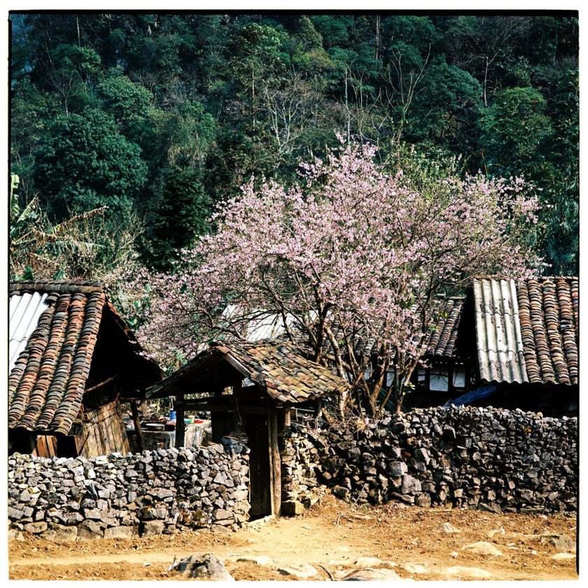 Phòng Superior Deluxe Giường Đôi/2 Giường Đơn  Phòng Superior Deluxe Giường Đôi/2 Giường Đơn