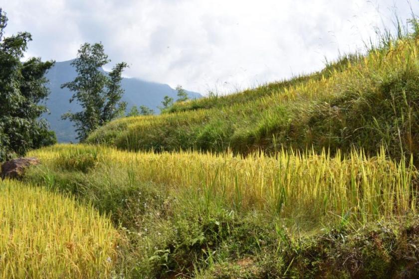 Nhà Nghỉ Dưỡng Nhà Nghỉ Dưỡng