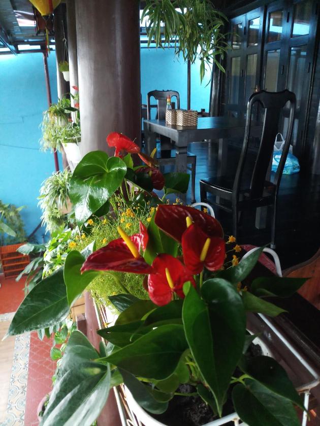 Suite Gia Đình Có Ban Công Suite Gia Đình Có Ban Công