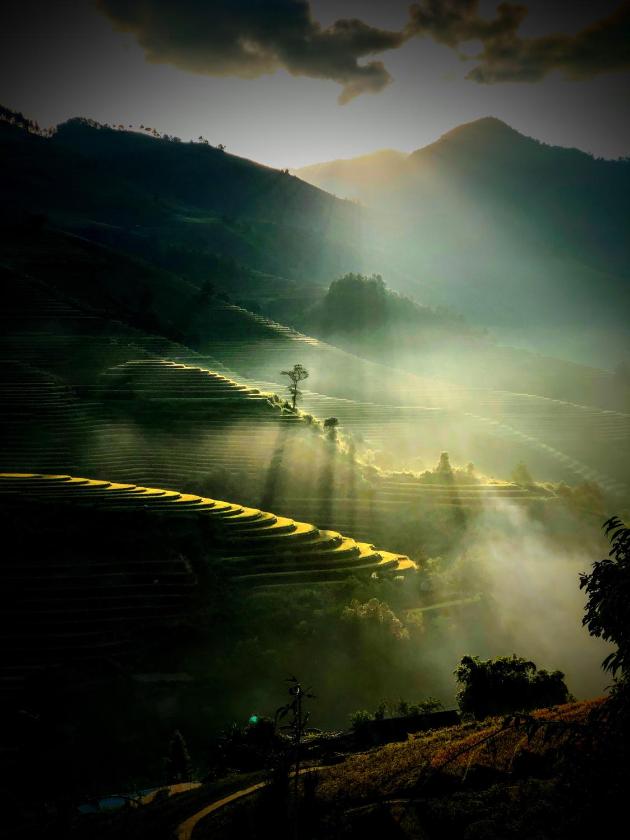 Bungalow 1 Phòng Ngủ