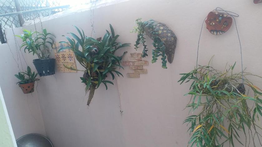 Căn Hộ Nhìn Ra Vườn Căn Hộ Nhìn Ra Vườn