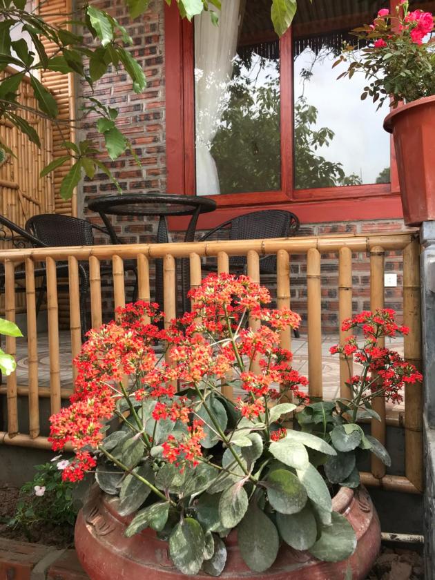 Phòng 3 Người Nhìn Ra Vườn Phòng 3 Người Nhìn Ra Vườn