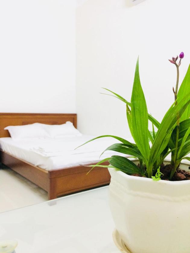 Phòng Tiêu Chuẩn 2 Giường Đơn 