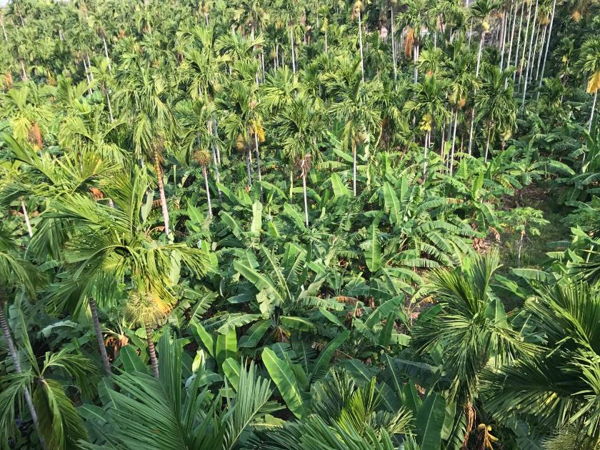 Phòng Có Giường Cỡ King Nhìn Ra Hồ Nước