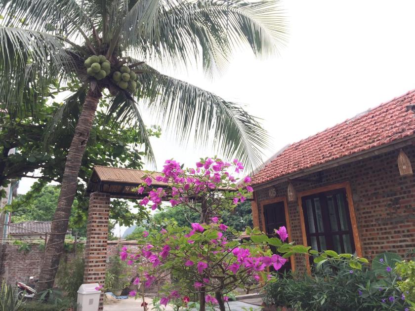 Bungalow Nhìn ra vườn