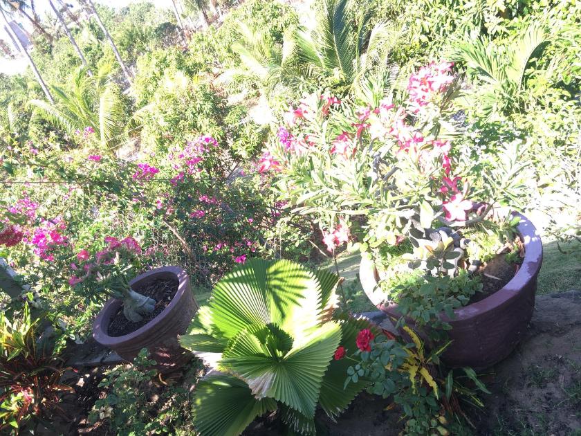 Bungalow Deluxe Bungalow Deluxe