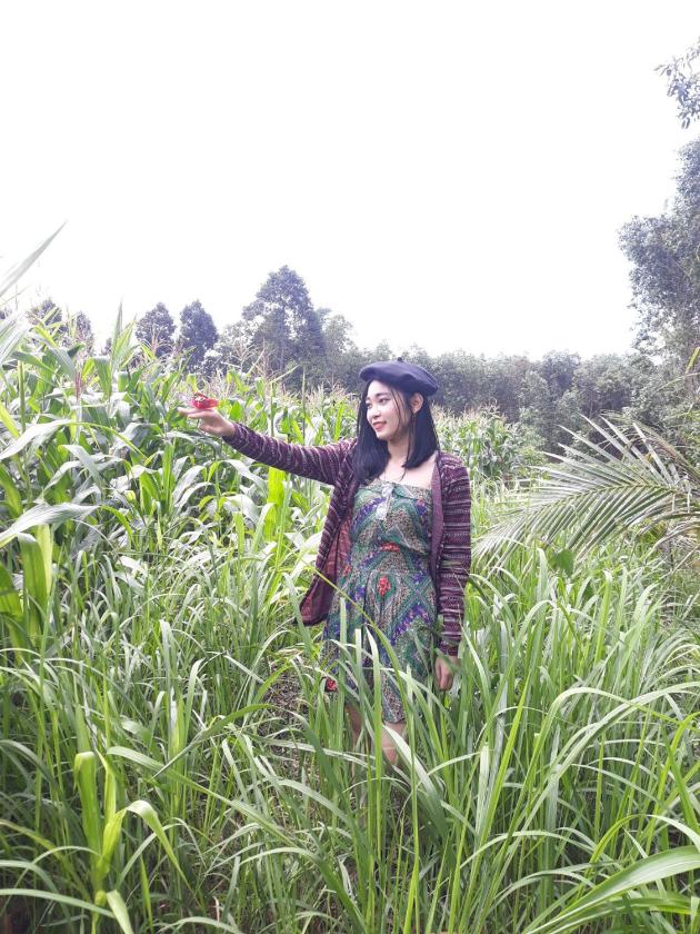 Phòng Đơn Với Phòng Tắm Vòi Sen Và Toilet Chung